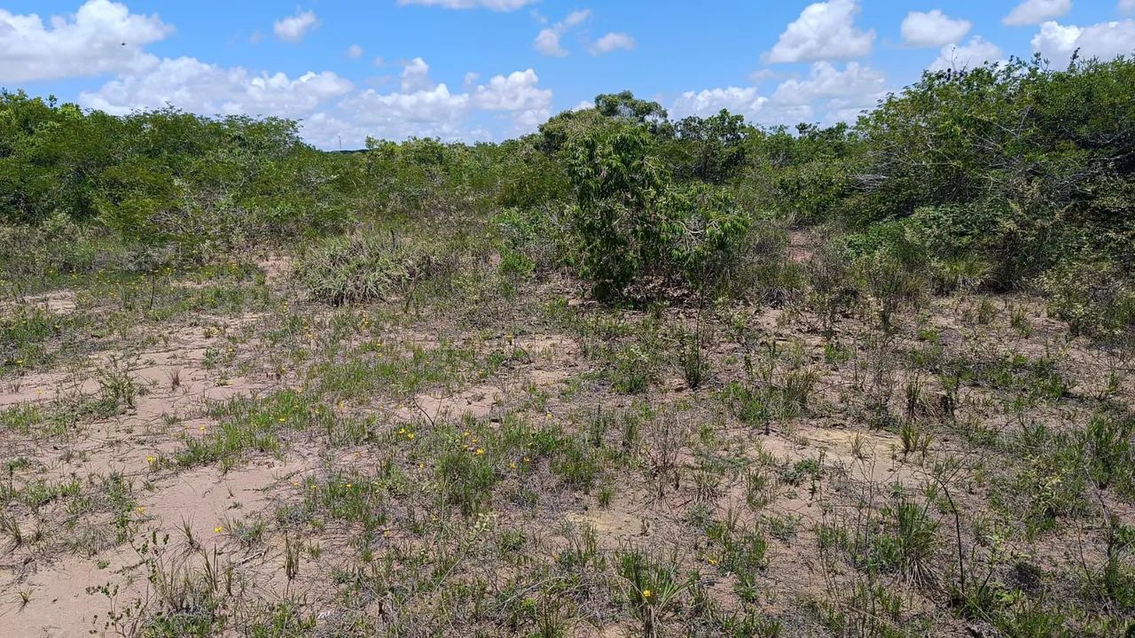 Terreno 2.000m² em Pureza. - Foto 3