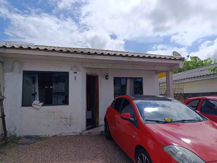 Foto - Araucária - Campina da Barra