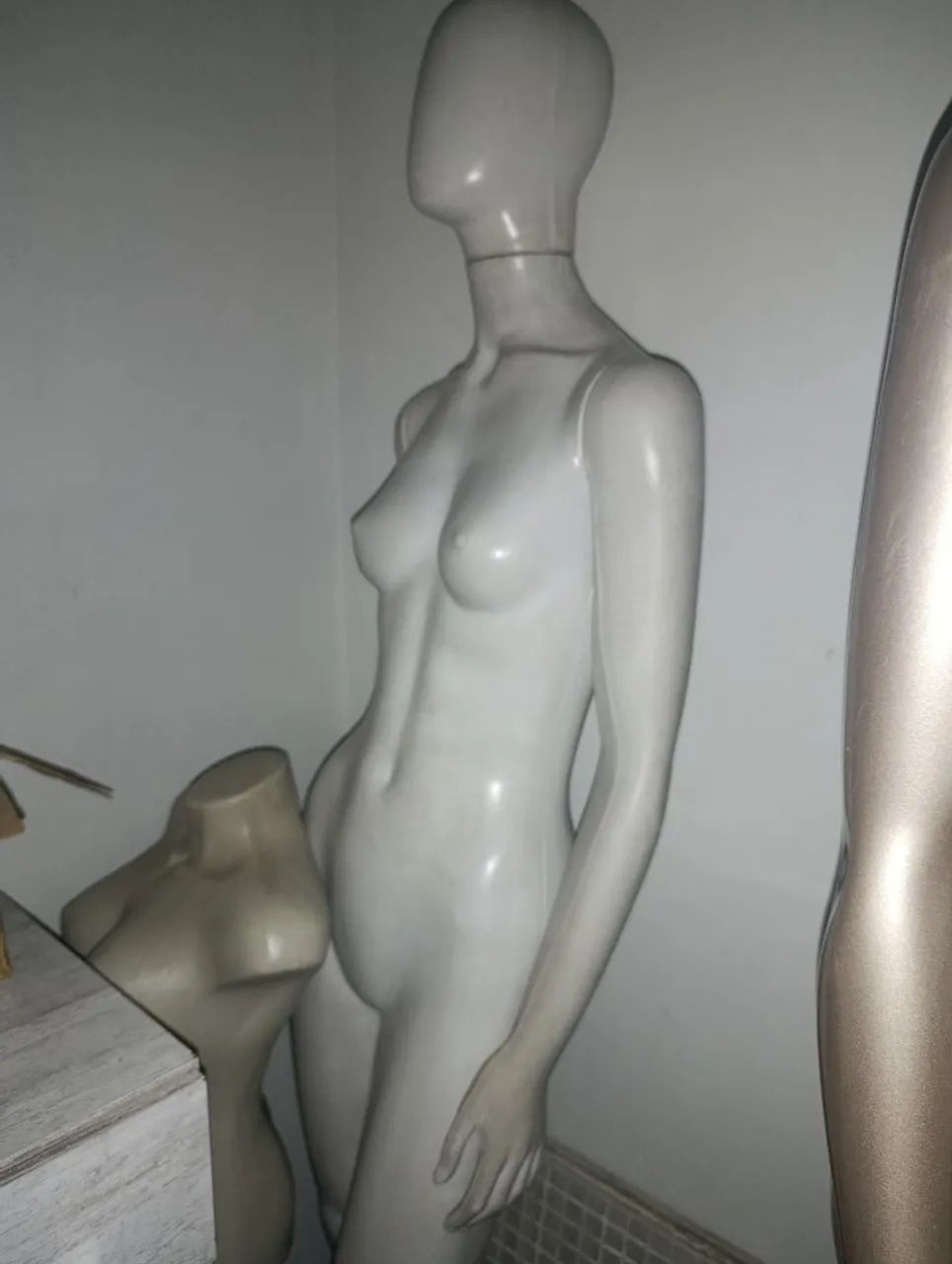 Manequim (kit 6 dorso e 1 corpo inteiro) - Foto 3