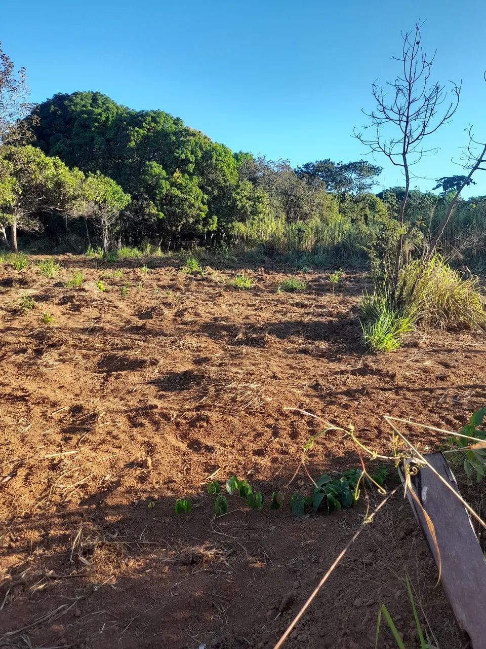 Casa a venda - município de Tocantinia  - Foto 5