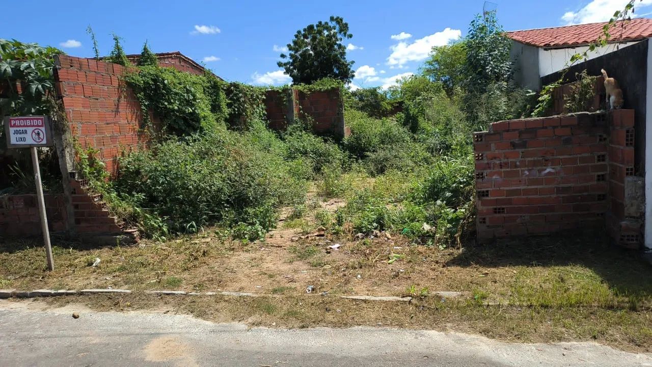 Foto - Tauá - 