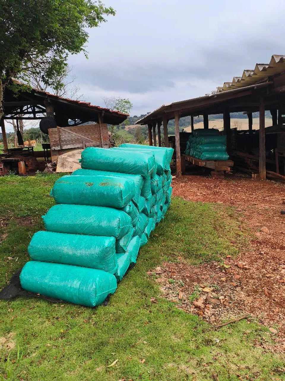 Silagem ensacada  - Foto 4