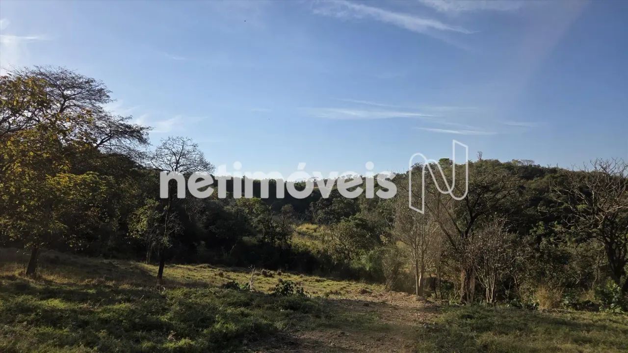 TERRENO RURAL E COMERCIAL: - Foto 5