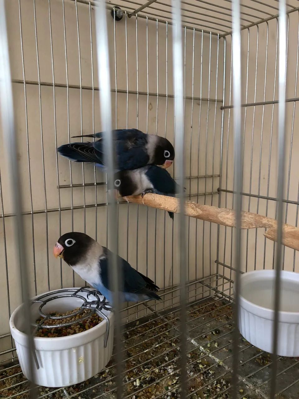 Azul cobalto
