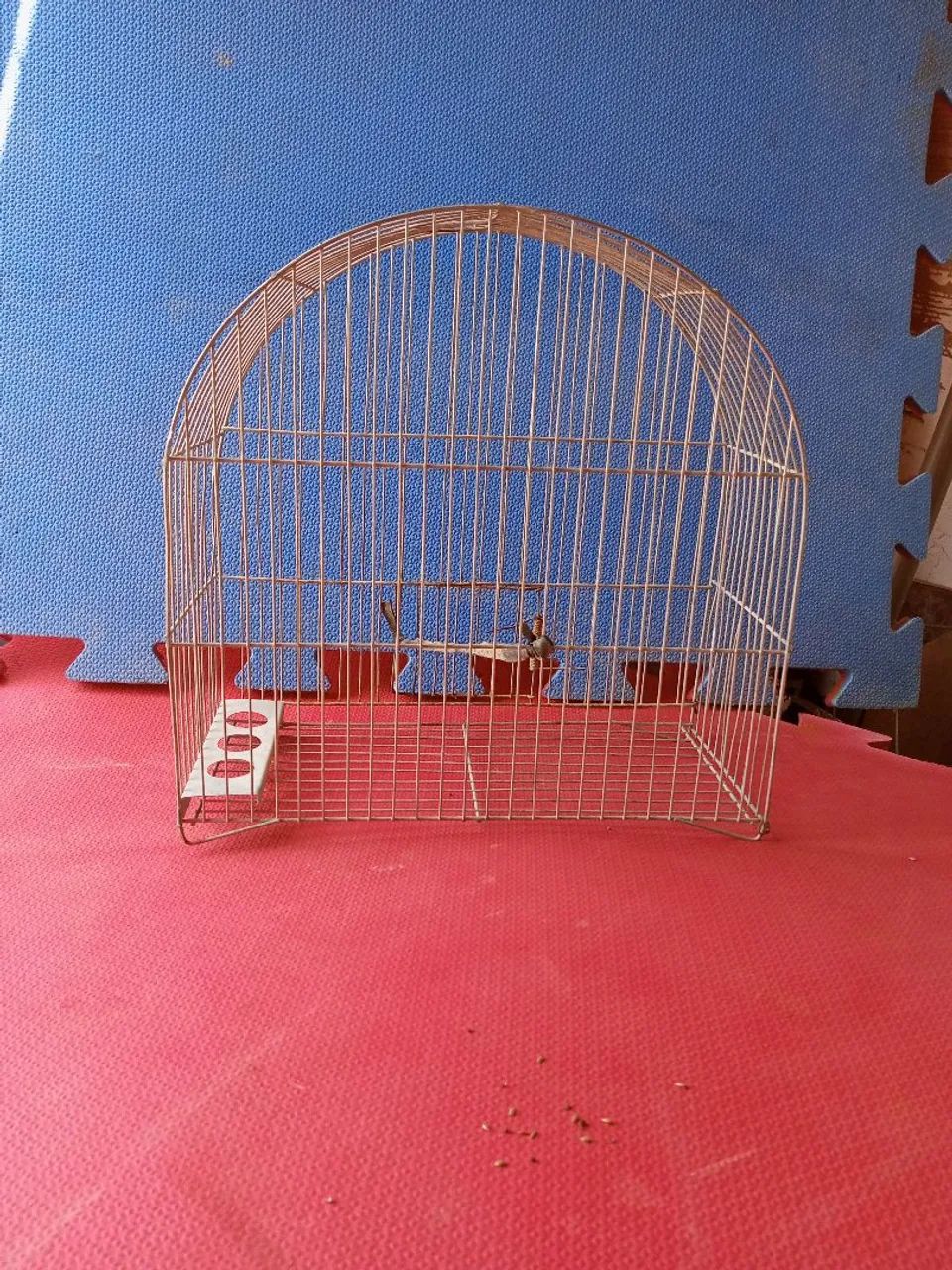 Gaiolas de ferro 2,e 1 de fibra  - Foto 6