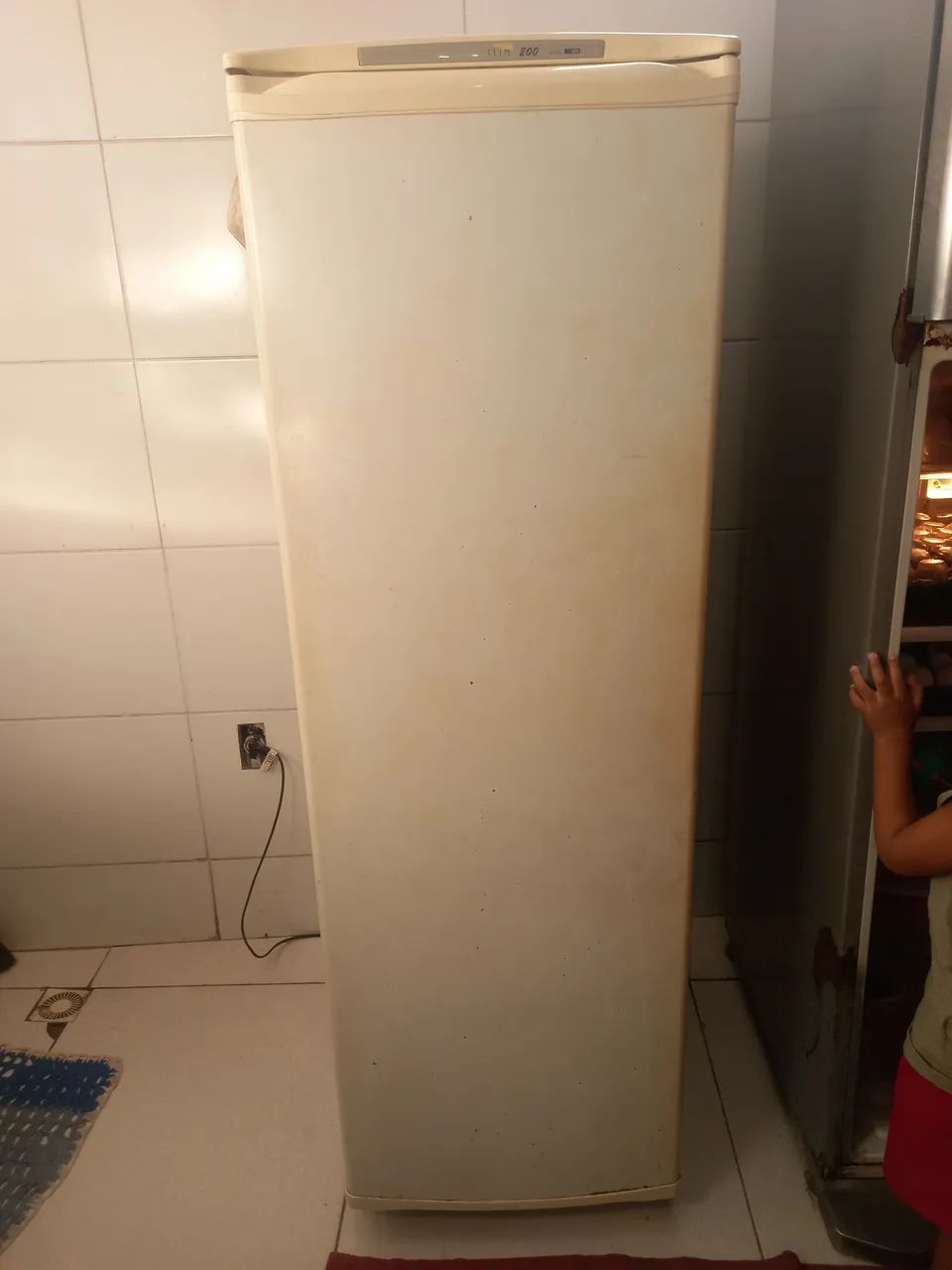 Freezer , funcionando normalmente 