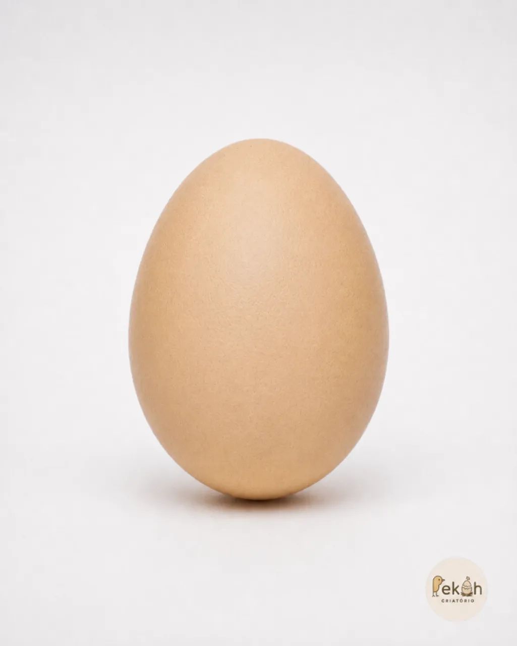 Brahma Lemon Galinha - Foto 4