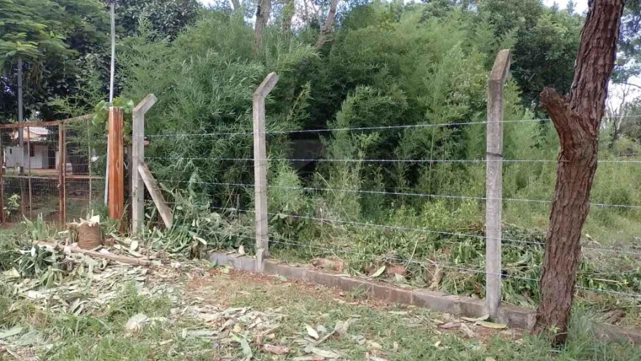 Chácara à venda no Bairro Panorama - Foto 3