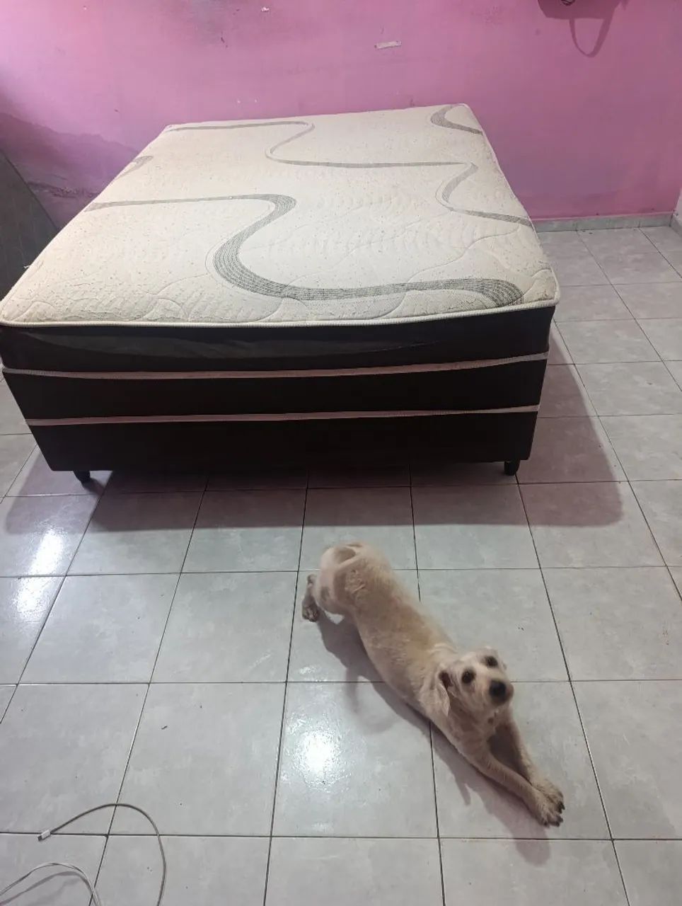 Cama box com com molas ensacadas muito nova impecável só pegar e usar! - Foto 3