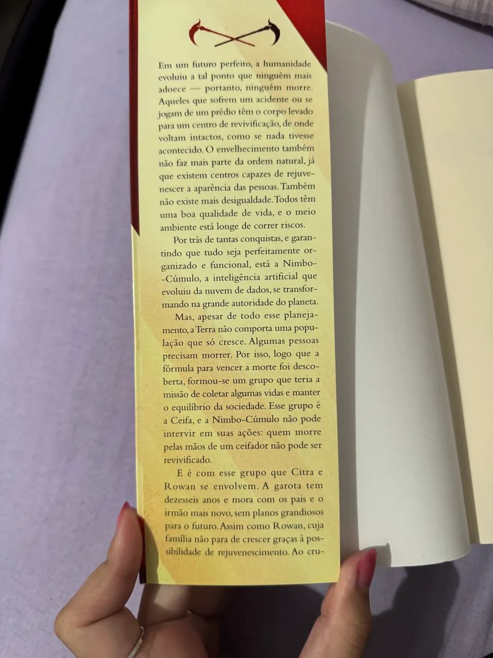 Livro  - Foto 5