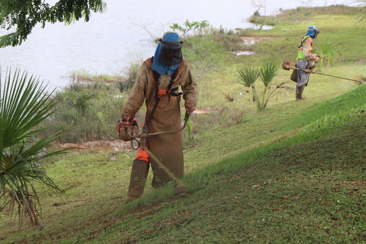 Roçagem de terreno , ATENDEMOS EMPRESAS!