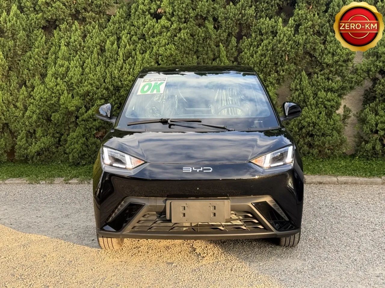 BYD Dolphin Mini (Elétrico) 2027