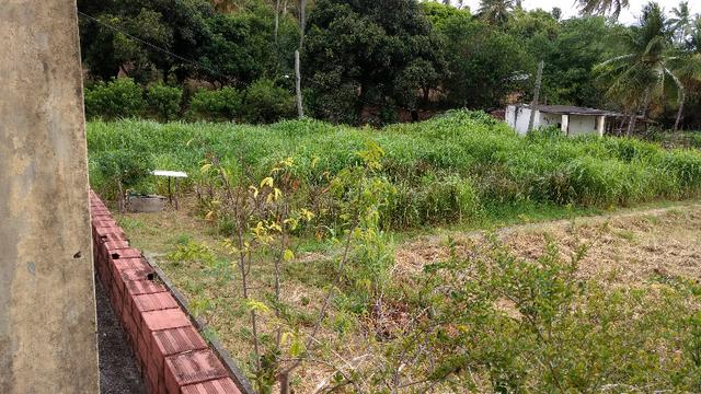 Chacara em Igarassu, Pernambuco - Foto 6
