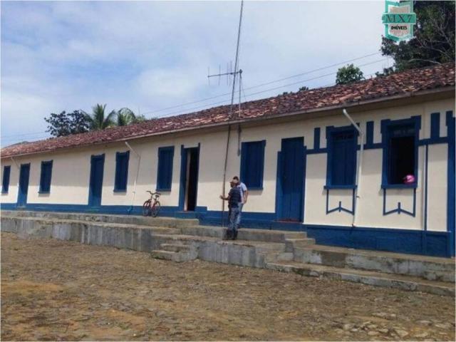 Aiquara . Ótima fazenda produtora de cacau - Foto 13