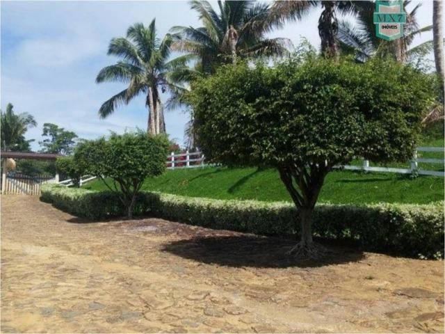 Aiquara . Ótima fazenda produtora de cacau - Foto 8