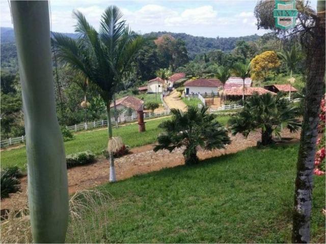 Aiquara . Ótima fazenda produtora de cacau - Foto 2