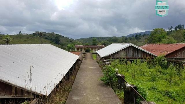 Ubaitaba. Fazenda de 450 Hectares, produção de cacau e gado, completa infraestrutura. - Foto 6