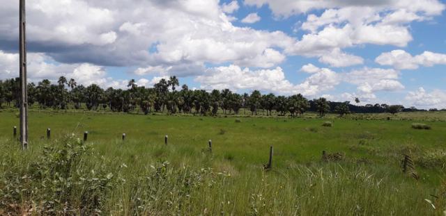 Fazenda em Roraima top - Foto 12