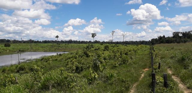 Fazenda em Roraima top