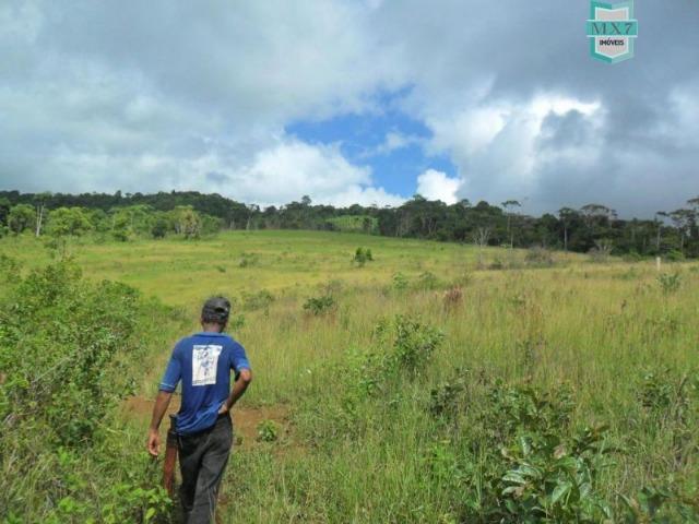 Fazenda Itamaraty com 300 Hectares, potencial para 300 gados, 70 hectares de cacau - Foto 15