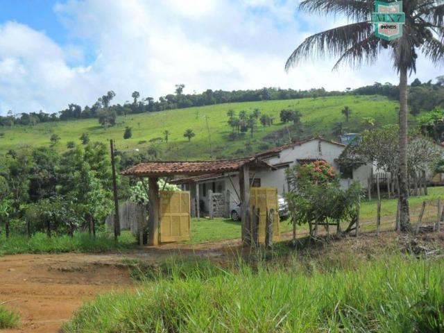 Fazenda Itamaraty com 300 Hectares, potencial para 300 gados, 70 hectares de cacau - Foto 2