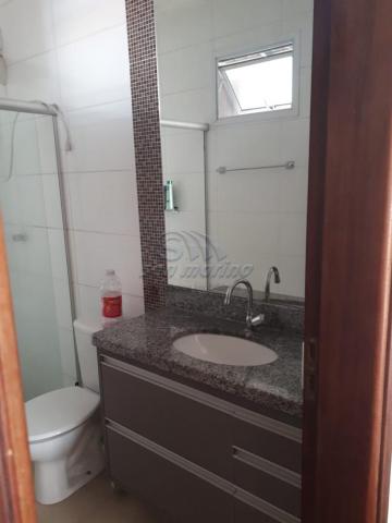 Casa para alugar com 3 dormitórios em Vereador mario ferreira, Brodowski cod:L4588 - Foto 4