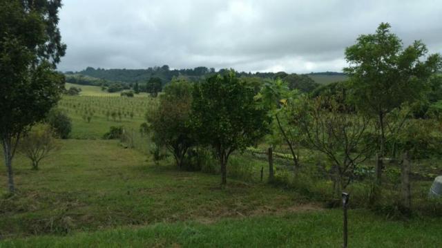 Fazenda para venda em balsa nova, são luiz do puruna 800 m do pedagio, 2 dormitórios, 2 ba - Foto 11