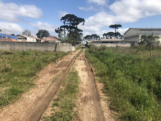 Terreno na Colônia Murici próximo ao Caminho do Vinho - SÃO JOSÉ DOS PINHAIS - Foto 4