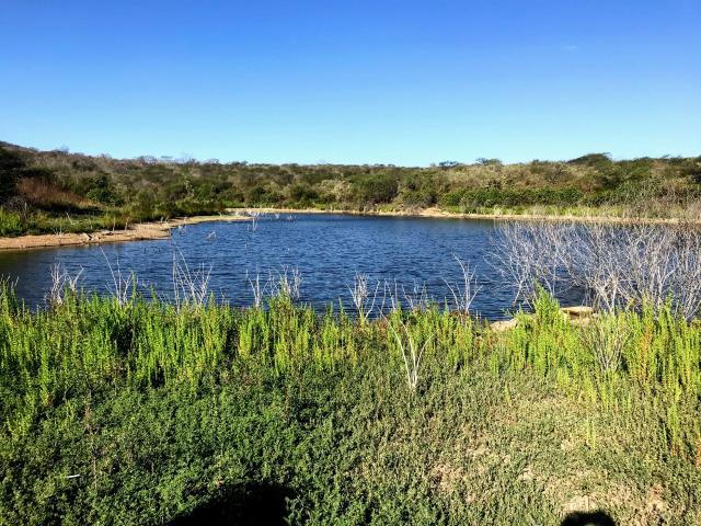 Sitio a venda em Quixadá - Foto 4