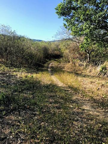 Sitio a venda em Quixadá - Foto 8