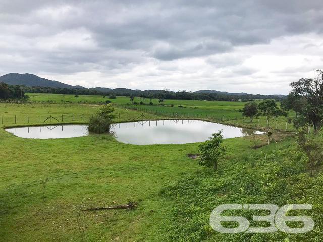 Chácara à venda com 3 dormitórios em Vila nova, Joinville cod:01028884 - Foto 14