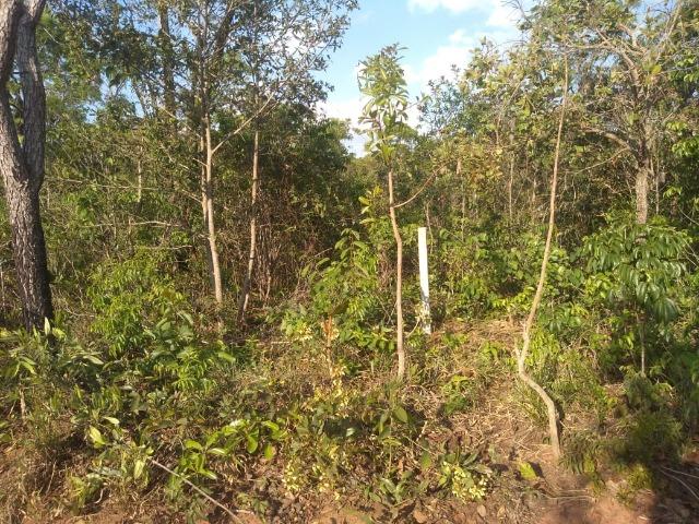Terreno de esquina no Atlântico - Foto 6