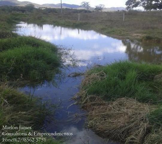 Fazenda em Dois Irmãos! - Foto 7
