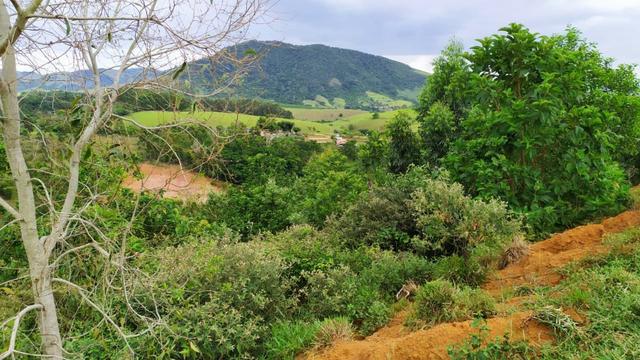 Chácara, Sítio, Terrenos em Itapeúna / Ancheita-ES - Foto 6