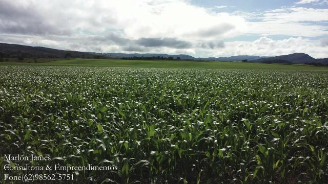 Fazenda em Padre Bernardo! - Foto 3