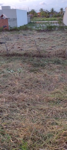 Terrenos Comerciais  no Francês - Foto 3