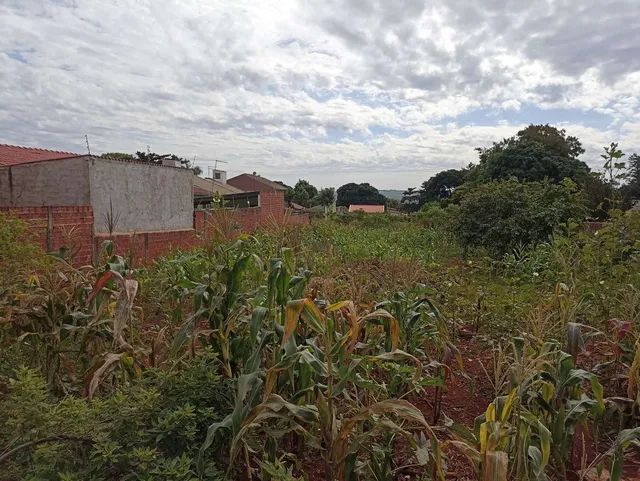 Lote em  Av. Ivaí - Centro - Paiçandu/PR - Foto 5