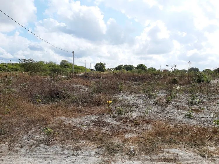 Terreno em Itapipoca/CE - Foto 4