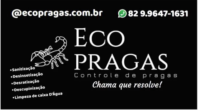 Serviços profissionais de detetização  - Foto 4