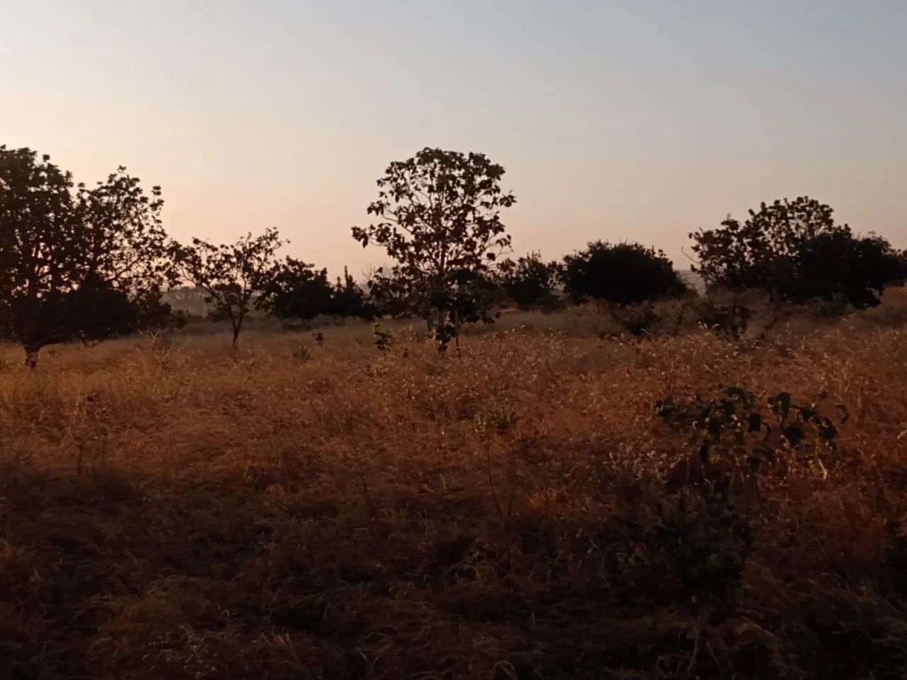 foto - Uberlândia - Área Rural de Uberlândia