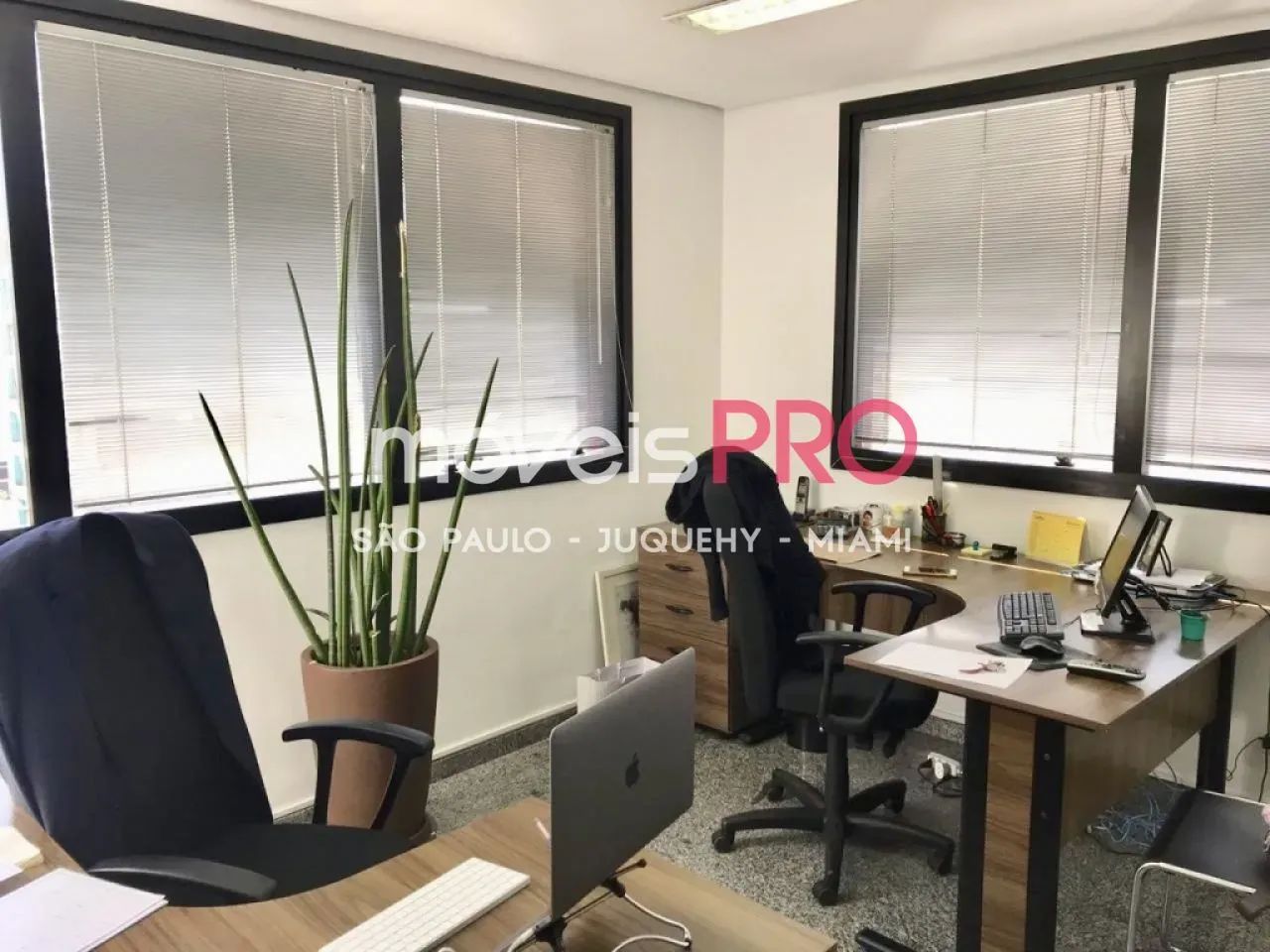 Conjunto de 47m² na Avenida Iraí e 1 vaga. - Foto 2