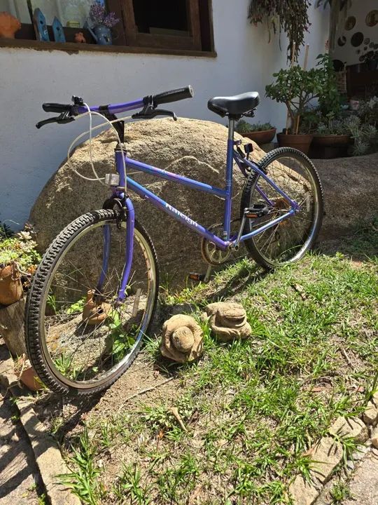 BICICLETA RALEIGH modelo CALYPSO