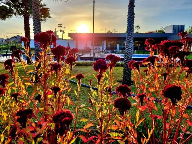 Super oportunidade lote de esquina com 372m² na Cidade Alpha - Foto 12