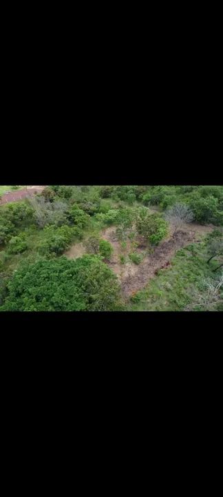 Chácara com 1000m2 na saída para Lajeado - Foto 14