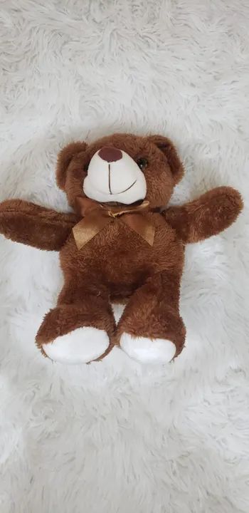 Ursinho De Pelúcia Fofo 20cm Com Laço Presente Cheio De Amor - Foto 5