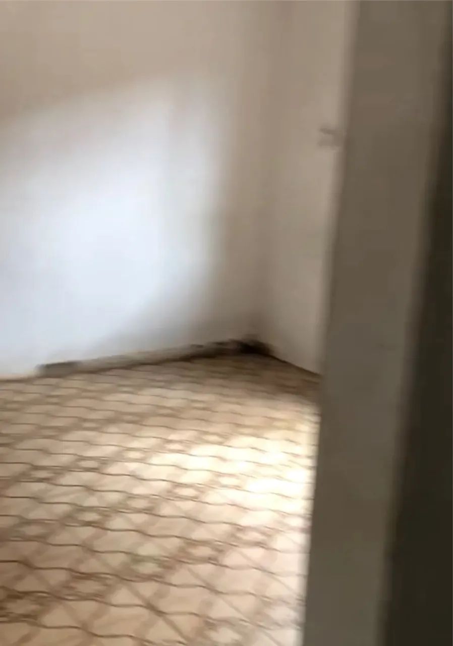 Vende-se Casa/Lote, lote grande, oportunidade para investidor e renda de aluguel. - Foto 5