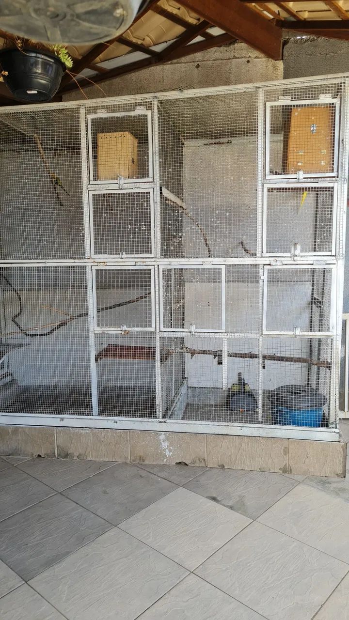 Viveiro Pássaro  - Foto 2