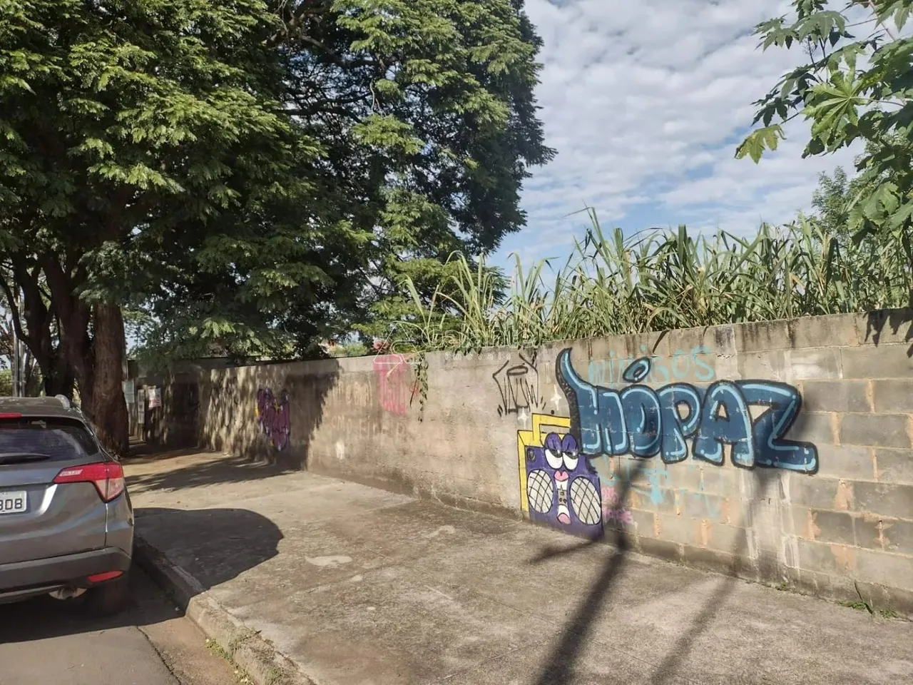 área - Barão Geraldo - Campinas