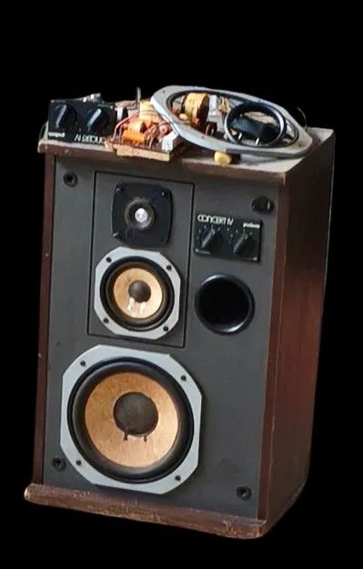 Divisor de frequência gradiente concert IV