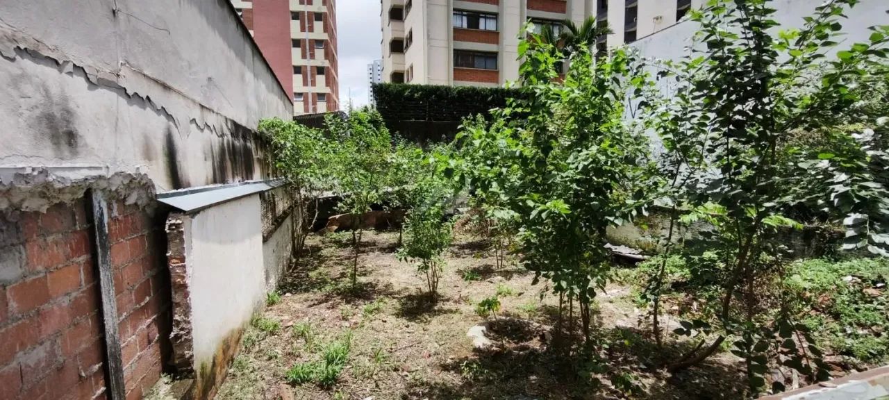 casa - Centro - Campinas - Foto 14